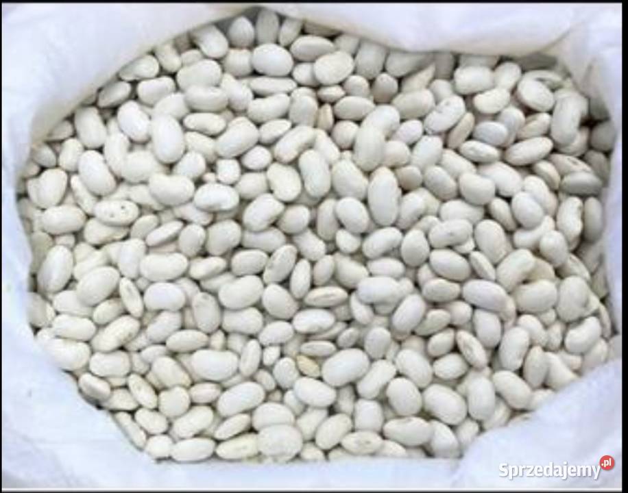 Fasola jaś Warszawa