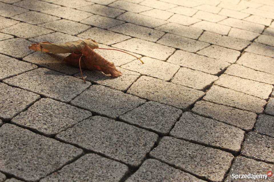 Kostka brukowa betonowa Piccolino gr 6 Świdnica