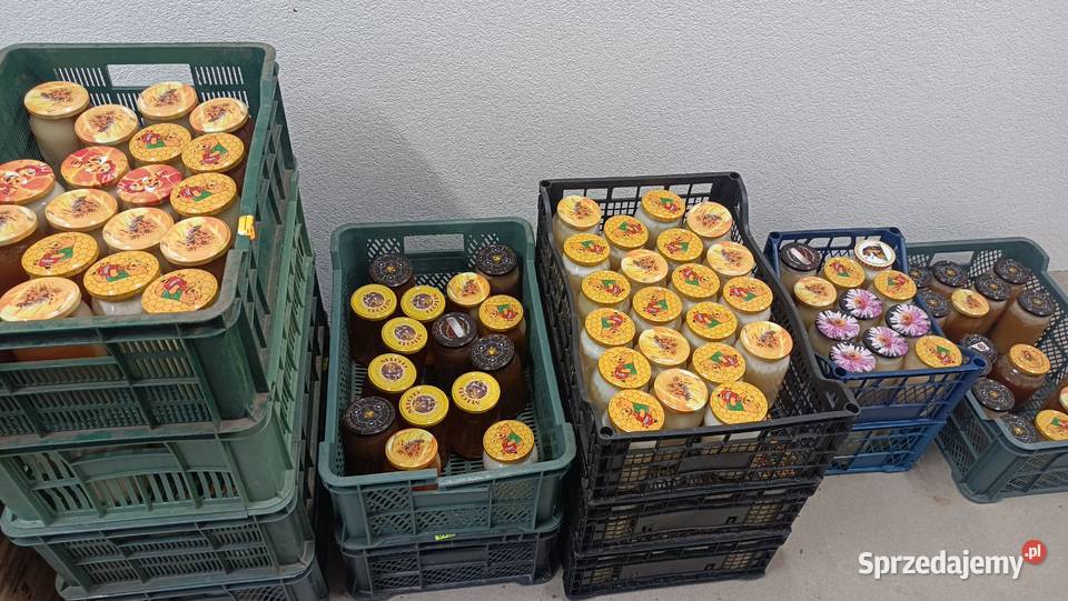 Miód z Pasieki Adaś w Ciechanowie Ciechanów