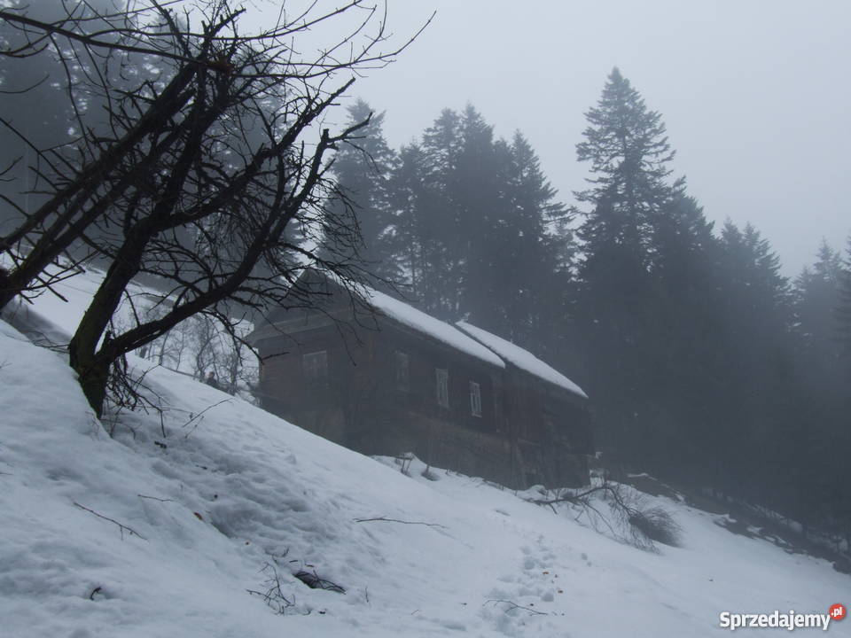 Dom drewniany Piwniczna-Zdrój
