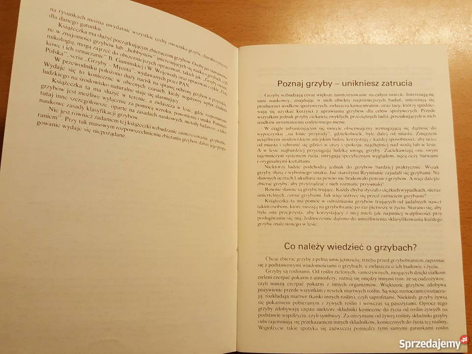 PORADNIK Grzyb jadalny Zbigniew Domański Złotniki