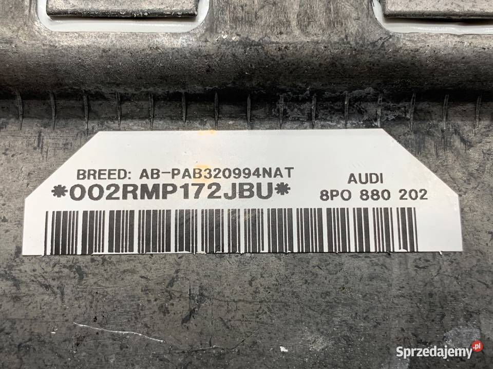 PODUSZKA POWIETRZNA PASAŻERA AUDI A3 8P