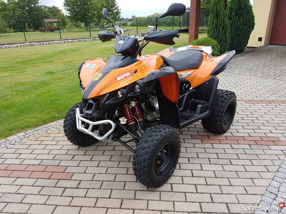 Quad TGB Target 325 2010 ATV Super Stan Okazja Niemodlin