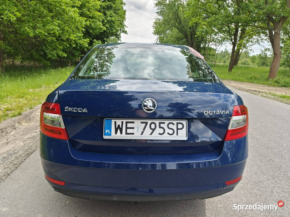koda Octavia Salon 1 właściciel Benzyna DSG III Karczew