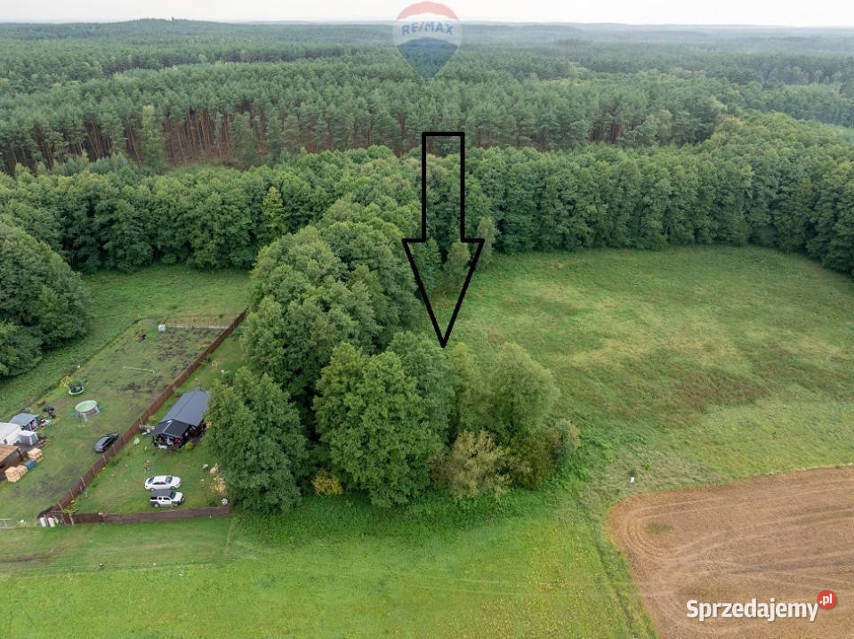 Działka budowlana Pąchy z DWZ2 domy