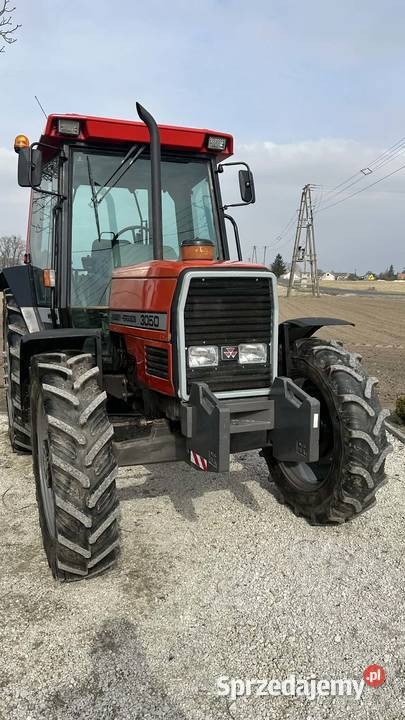 Massey Ferguson 3050 kujawsko-pomorskie Włocławek