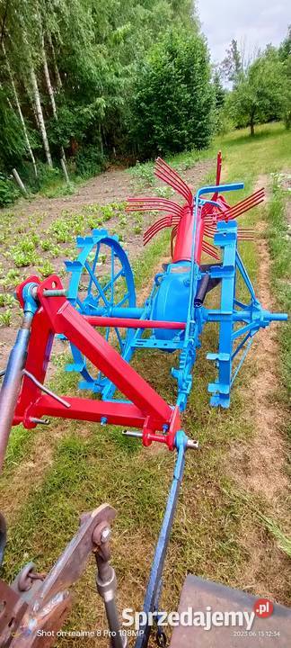 Kopaczka gwiazdowa Strzyżów sprzedam