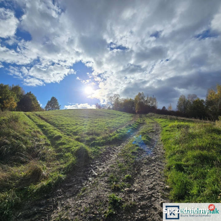 Działka Nozdrzec 7513m2