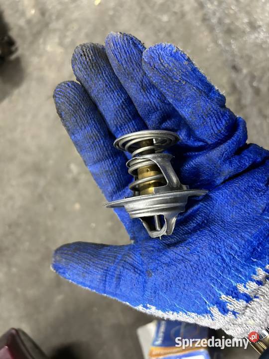 Termostat Fiat 125p Termostaty Krośniewice