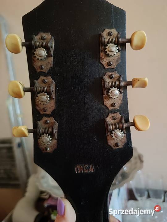 Gitara Cremona