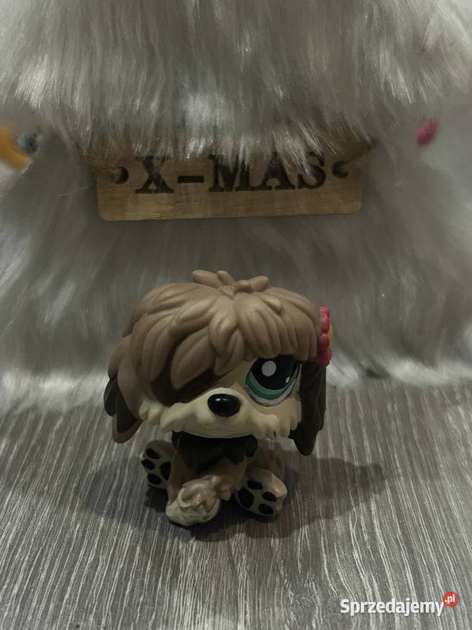 lps pies pasterski sprzedam