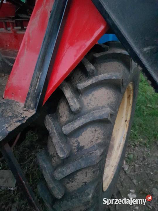 Władymirec t25 lubelskie Rachanie