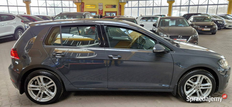 Volkswagen Golf 201920 opis W podanej ROCZNA czujnik zmierzchu śląskie Mysłowice