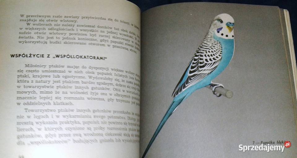 Papużki faliste Jan Landowski Rok wydania 973 Chełm