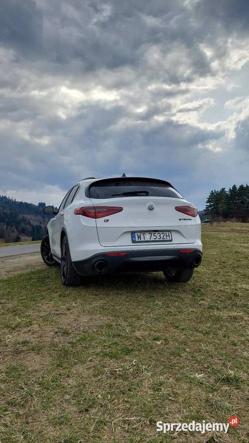 Alfa Romeo Stelvio 20 280 4x4 BLACK EDITION immobilizer