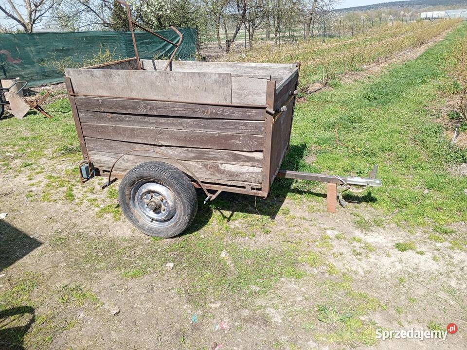 Dwukólka biedka przyczepka wóz Bieliny sprzedam