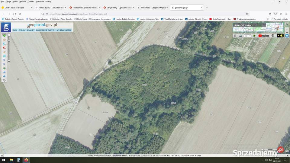 Sprzedam lasdziałka 245 ha Ożarów Janików