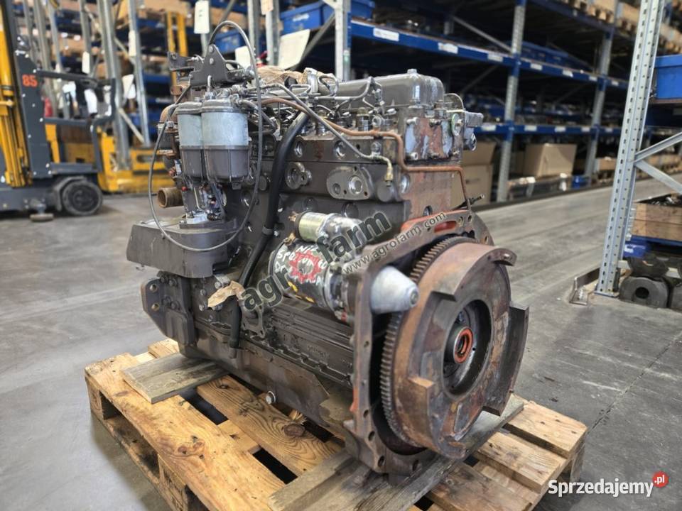 Silnik Massey Ferguson 3080 Perkins A6354 Byków sprzedam