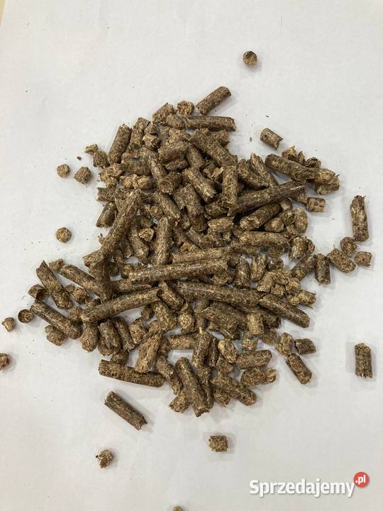 pellet z wierzby energetycznej Warszawa