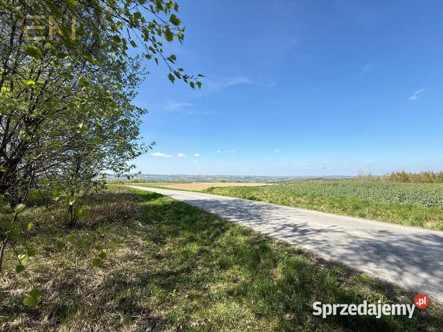 Działka 1214m2 Jaszczurowa