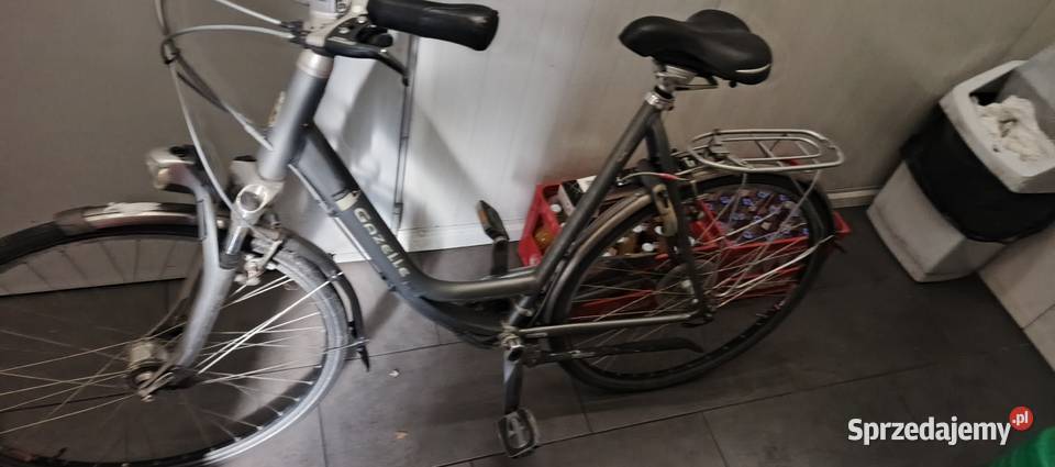 Rower Gazelle Gold line