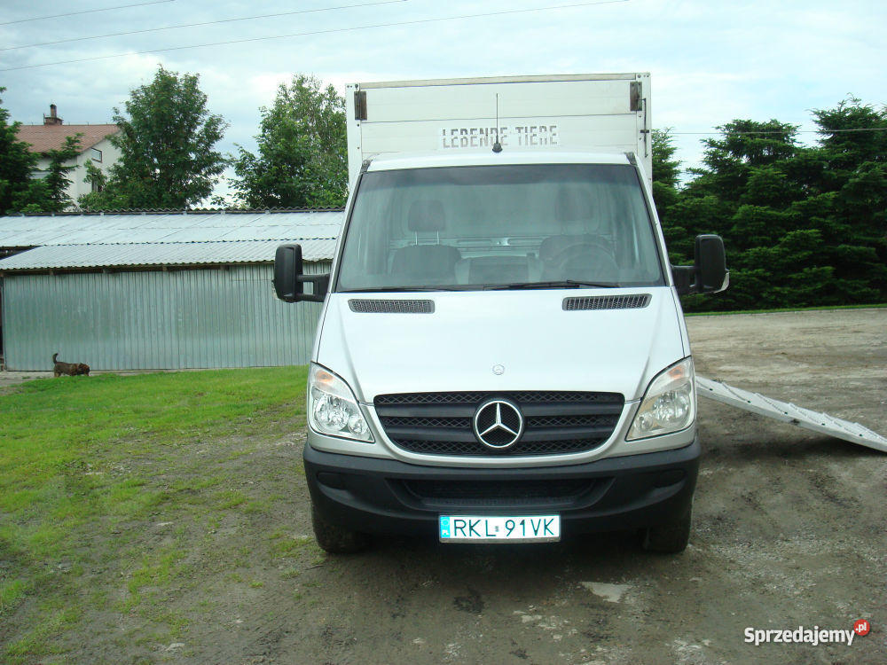 MERCEDS 315 CDI DO PRZEWOZU ZWIERZĄT VIEHTRANSPO podkarpackie Kolbuszowa