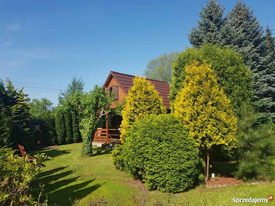 Działka rekreacyjna ROD Poznań Krzesiny