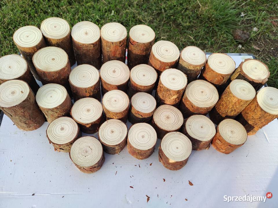 Pieńki plastry suche sosna różne średnice i podkarpackie Kulno