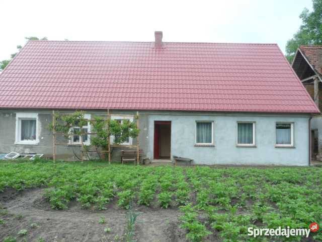 Sprzedaż lubuskie Gębice