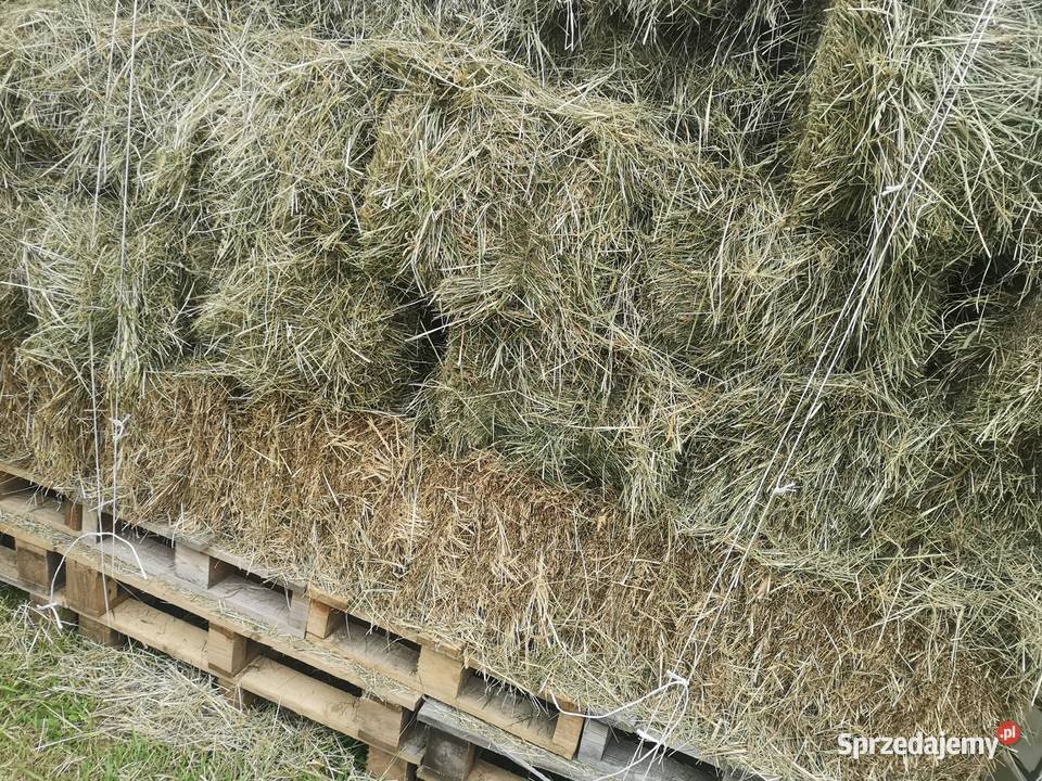 Siano w kostkach 2025 Trawy, słoma małopolskie Skomielna Biała