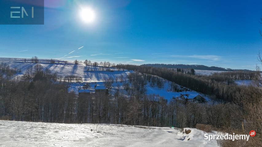 Działka Jaszczurowa 5300 metrów 6zł/m2 podkarpackie sprzedam
