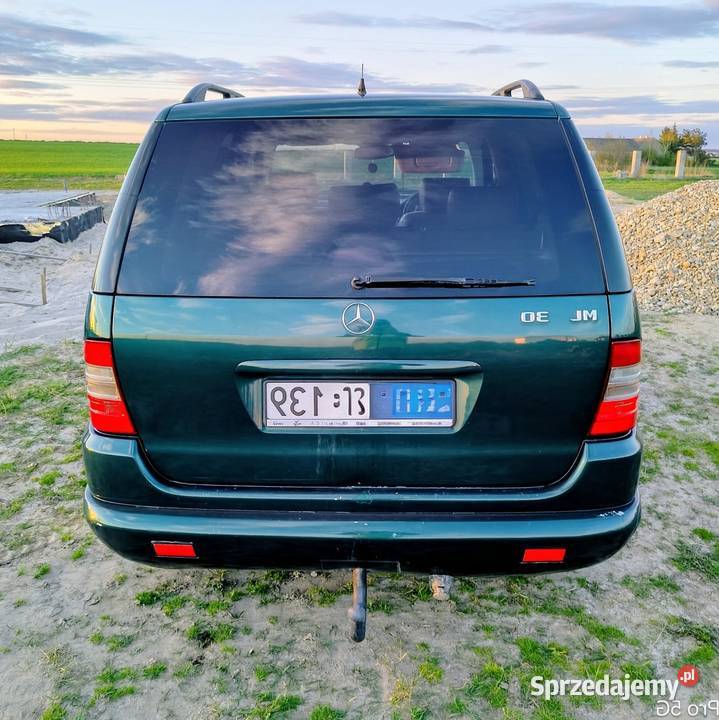 Ml 23 log 4/5 kujawsko-pomorskie Brzozówka sprzedam