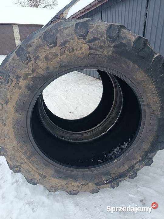 Opony 650 65 42 pirelli