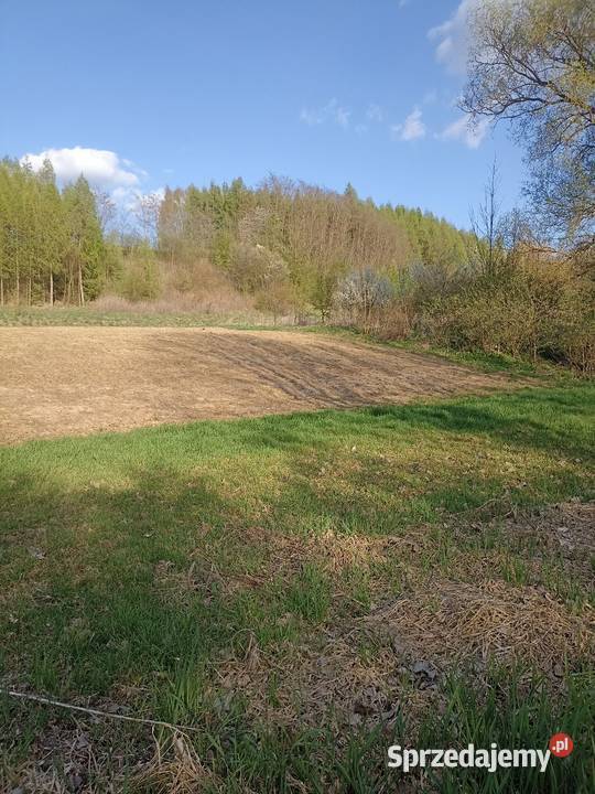 30ar Kościejów gm Racławice