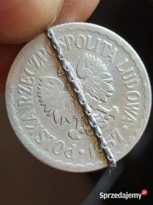 Sprzedam monete 1 zloty 1957 lekka skrętka