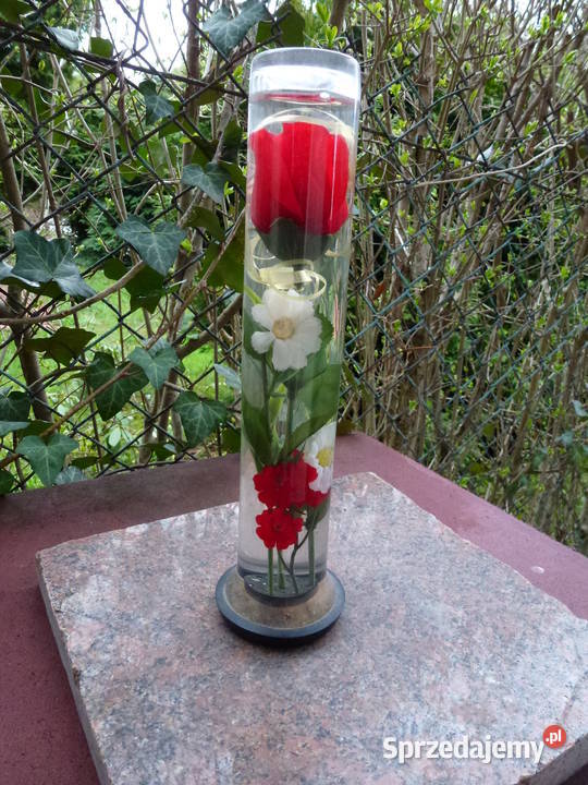 Róża zatopiona w wodzie w gustownym szkle Kraków
