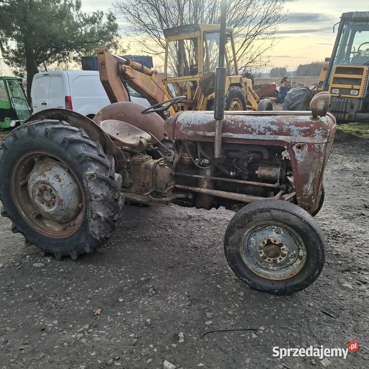 Massey ferguson 35 Grabów nad Wisłą sprzedam
