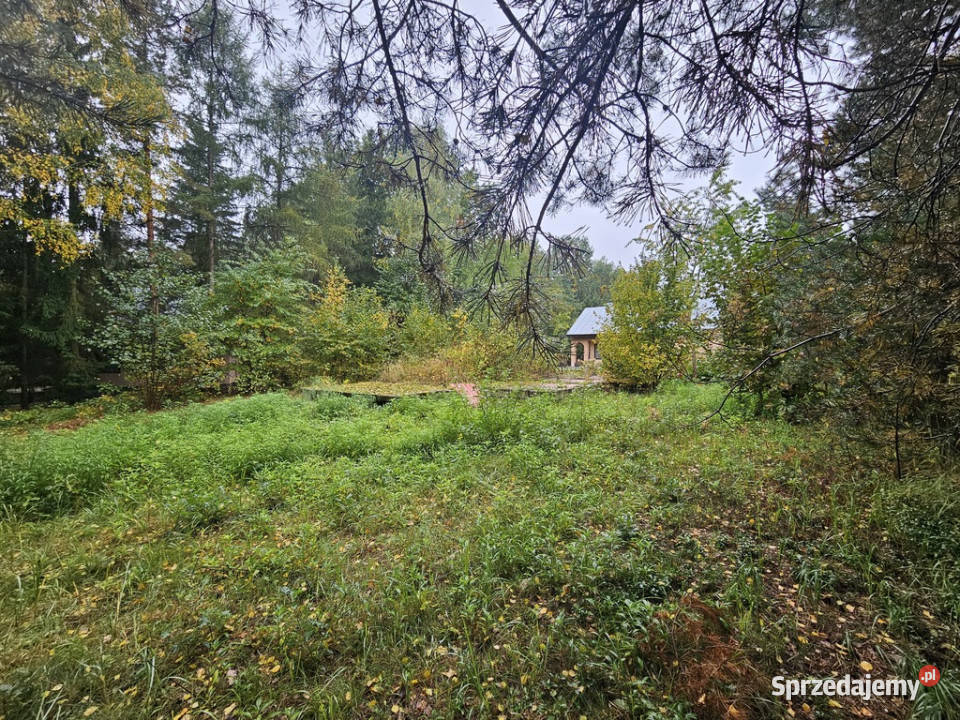 Działka Rogóźno 9 ar media Jezioro Rogóźno lubelskie