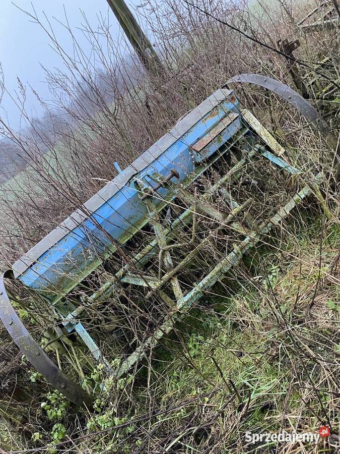 Siewniki konne 3 sztuki Wąwelno sprzedam