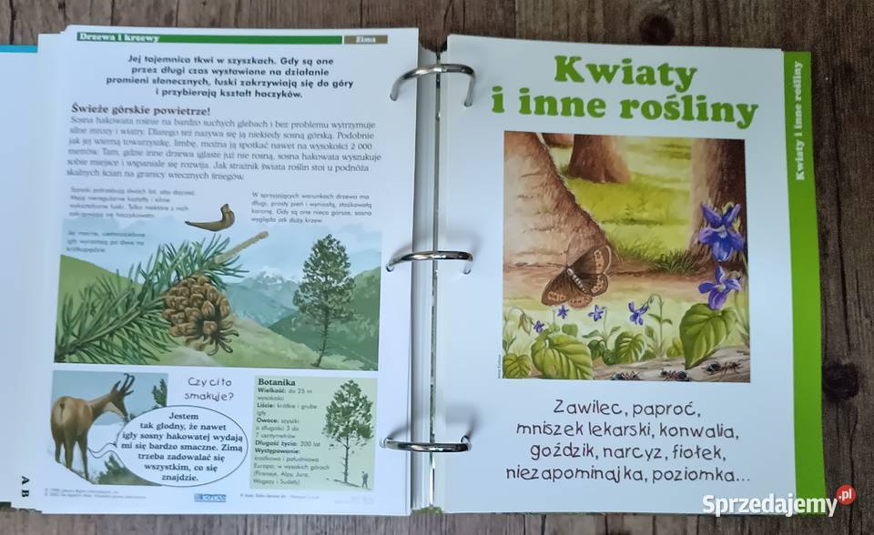 Leśne przygody segregator album DeAgostini Książki i Podręczniki Zbylitowska Góra