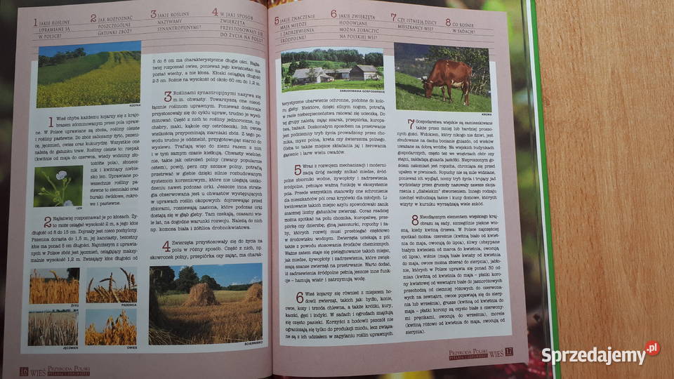 Przyroda Polski Pytania i odpowiedzi