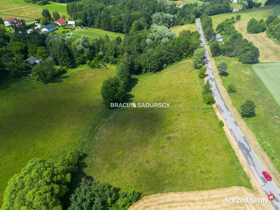 Działka 12200m2 Rzepiennik Strzyżewski Nieruchomości