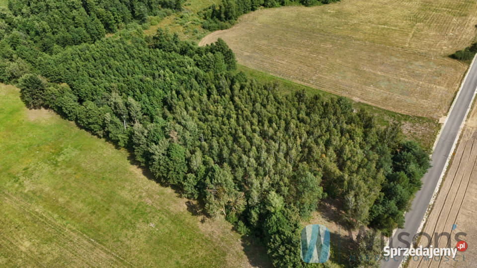 sprzedaży gruntu Sokołowo Włościańskie 7100m2