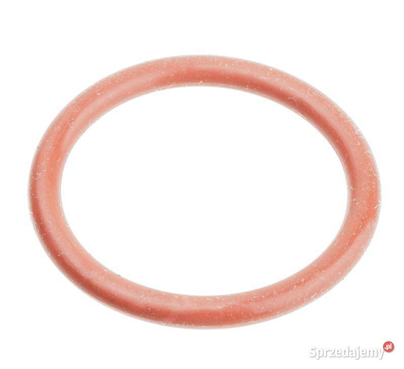 Gaźnik BS Series 450E CZĘŚĆ ORYGINALNA 595656 Opalenica