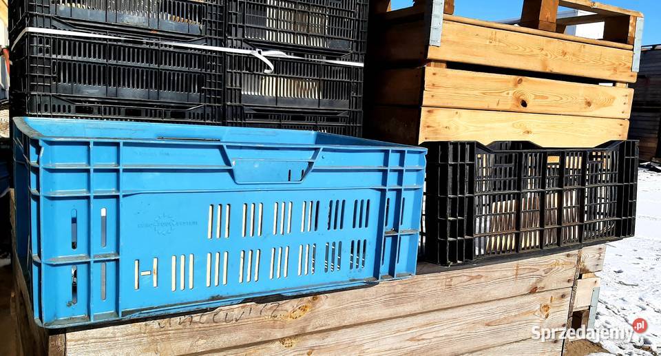 Klatki wymiar 604022 Lewiczyn sprzedam