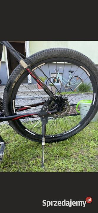 Rower Onilus 30muranus Żołynia
