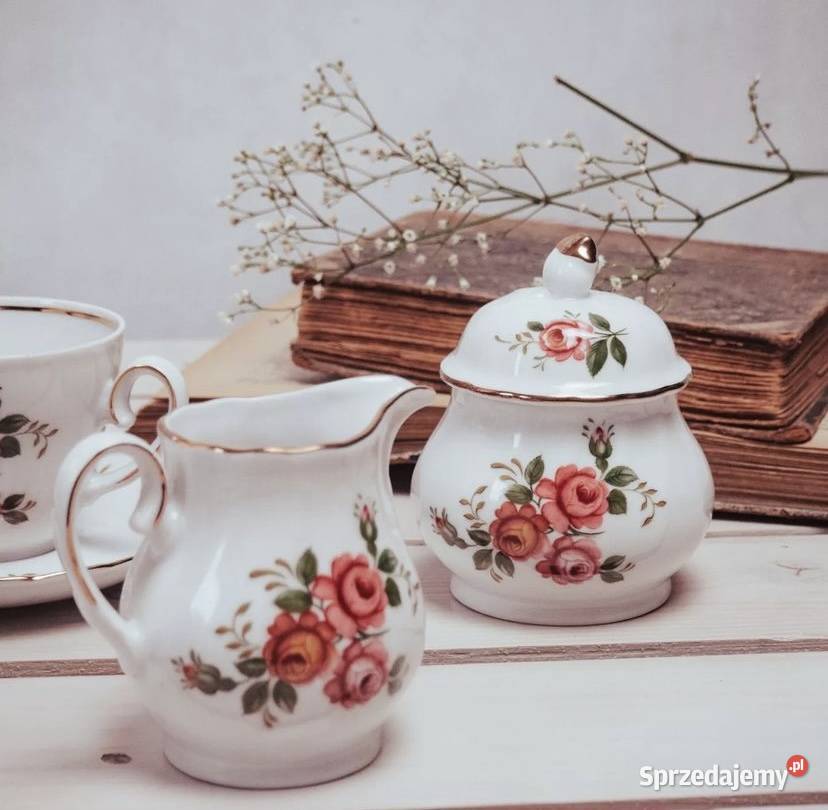 Zestaw 10 sztuk porcelany Poznań sprzedam