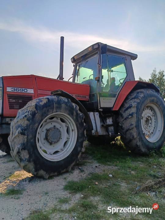 Masaj Ferguson sprzedam