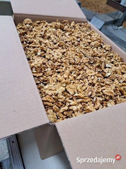 Orzechy włoskie sprzedam Tryńcza