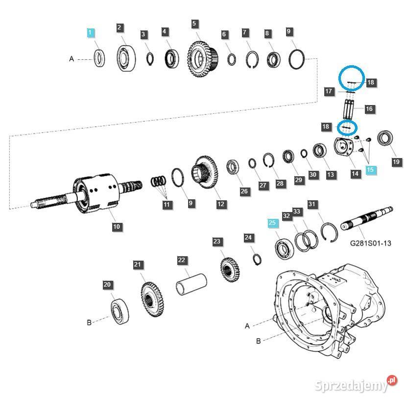 Oring 10 x 17 LS Tractor S804010010 40029239 Tajęcina